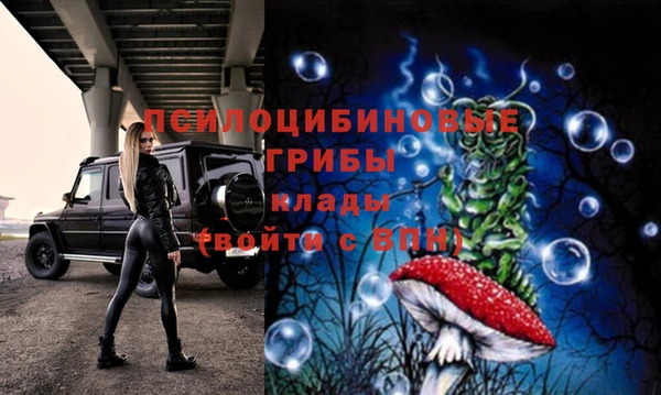 прущий лед Алексеевка