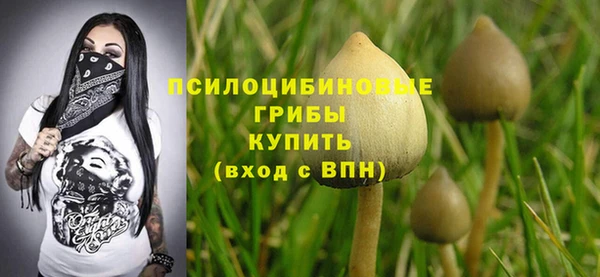a pvp Алексин